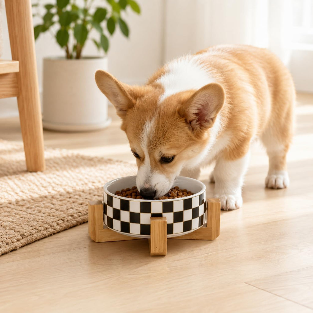 Checkered Ceramic Dog Bowl with Wood Stand, Black and White Dog Food and Water Bowl Set, Elevated Puppy Food Bowls