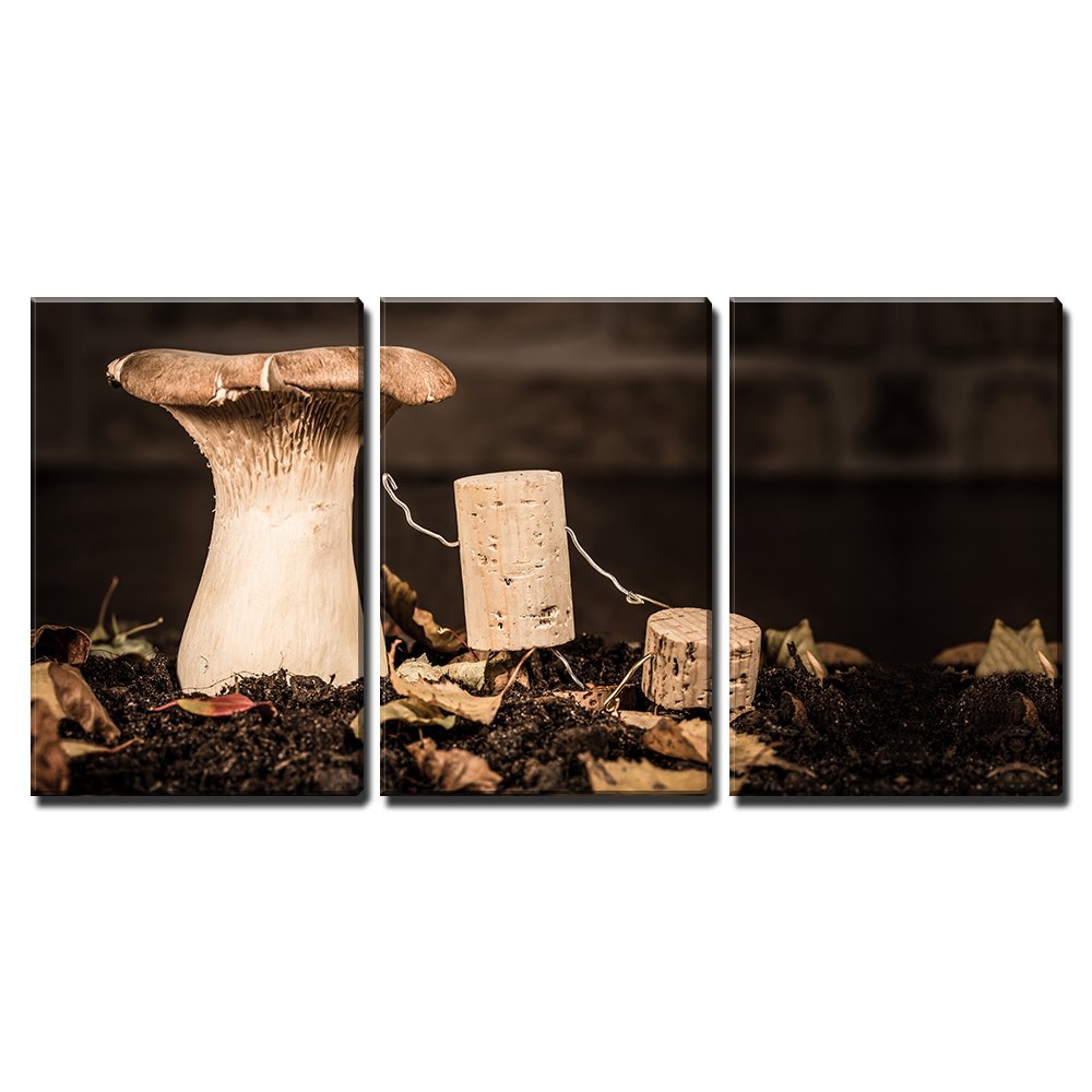 3 Piece Canvas Wall Art - Concept Explaining Fungal Knowledge with Wine Cork Figure - Modern Home Art Stretched and