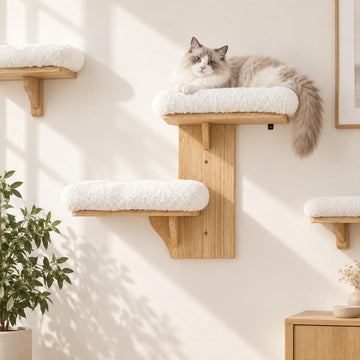 2-Tier Cat Wall Shelves with Bolstered Bed, Solid Wood Wall Mounted Cat Steps and Perch for Single Stud Drywall