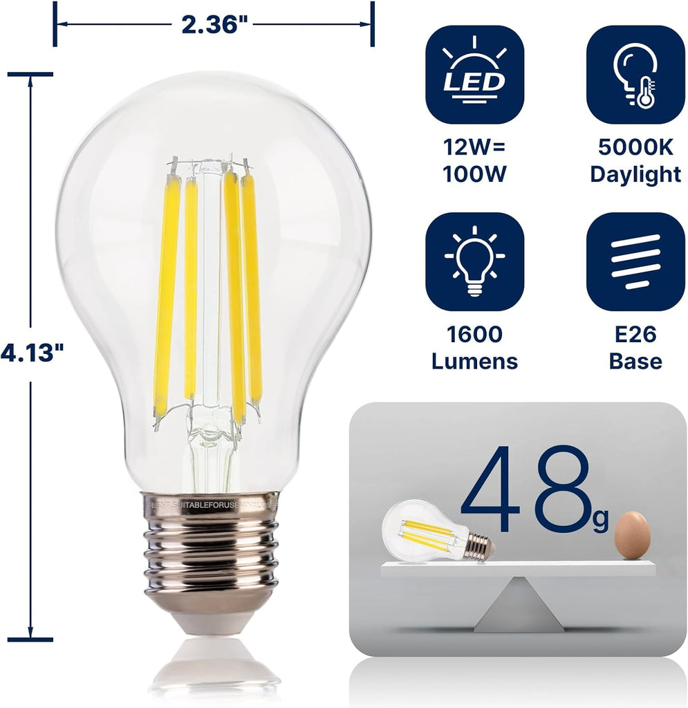 A19 LED Filament Bulbs, 100W Eqv, 1600LM, 5000K, E26 Base, 4 Pack