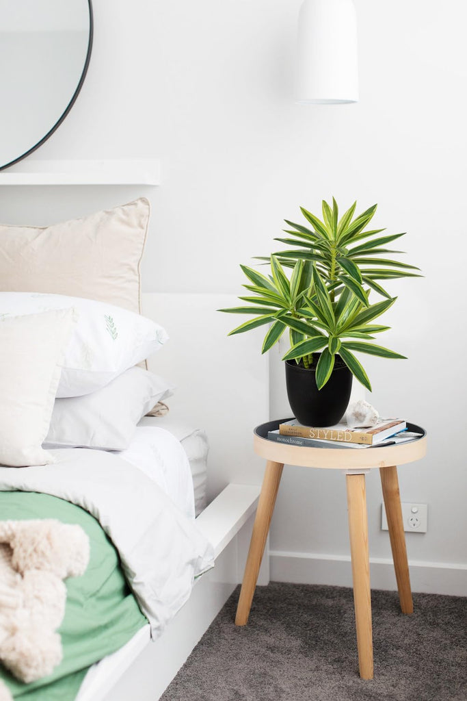 Fake Plants Dracaena Artificial Plant 16.1" Small Indoor Faux Plants in Pot