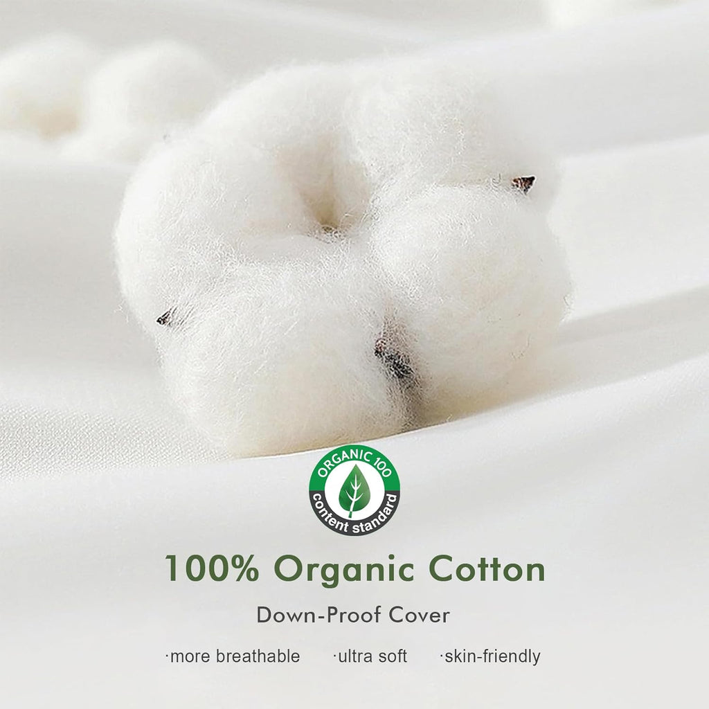 Ogranic Feather Down Lumbar Pillow Insert 12x20, White - Set of 2