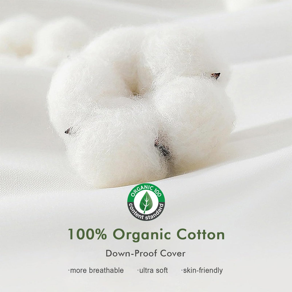 Organic Feathers Down Lumbar Pillow Insert 14x36, White