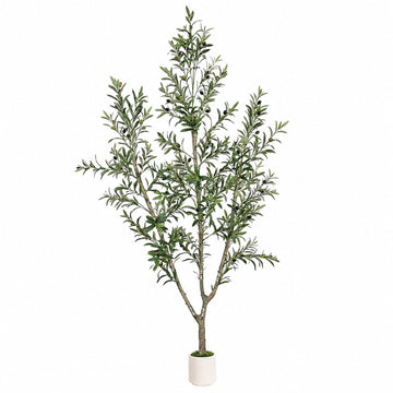 Olive Trees Artificial Indoor, 7ft Tall Olive Tree with White Planter, Faux olive tree with Natural Wood Trunk &
