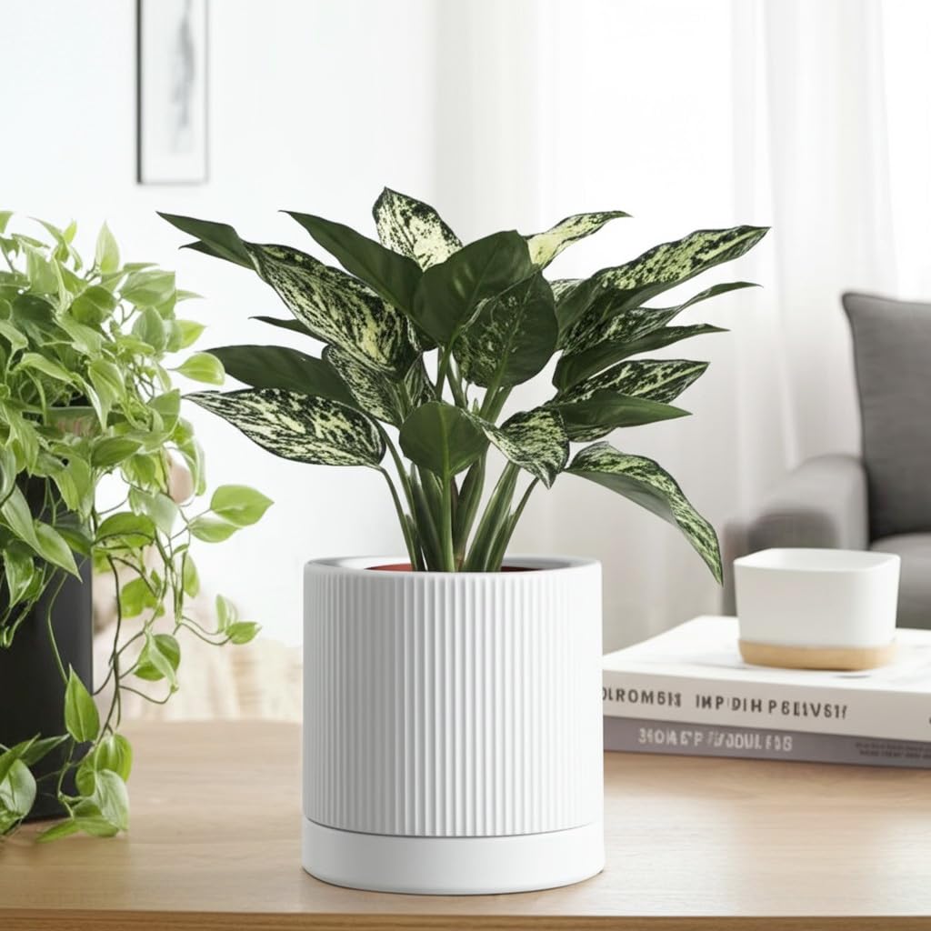 6 Inch Ceramic Plant Pot with Drainage & Saucer - Indoor Planter for Succulents, Cacti & Aloe Vera - Striped Design