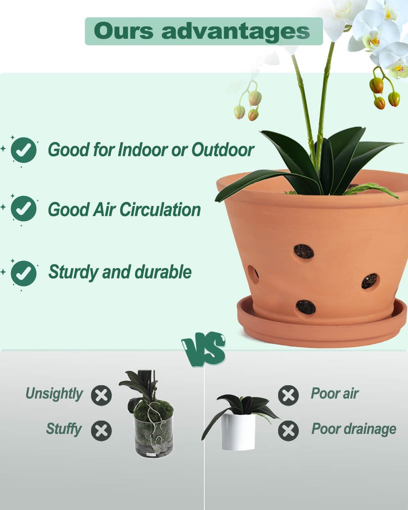 8 Inch Terracotta Orchid Pots with Holes and Saucers - 2 Pack Clay Orchid Planter Pots for Repotting, Breathable