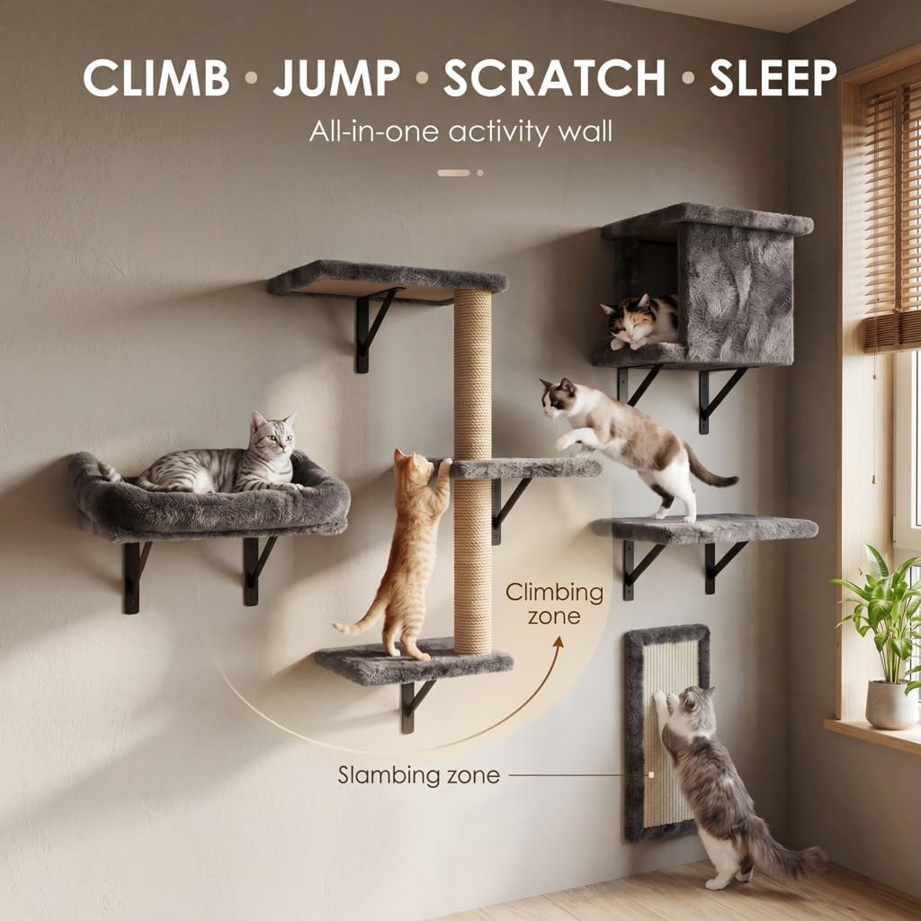 5in1 Cat Wall Shelves for Large Cats, Wall Mounted Climbing Furniture