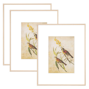 8.5x11 Brass Picture Frames 3Pack, Fits 5x7 Mat, Tabletop & Wall