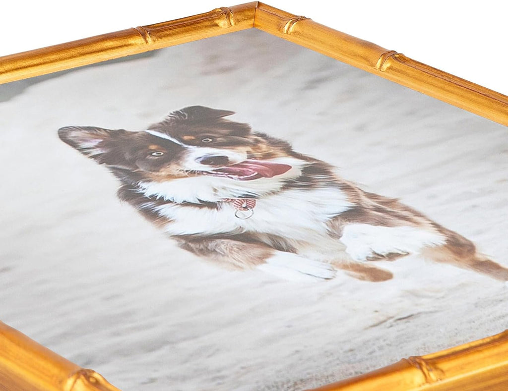 24x36 Inch Gold Picture Frame, This 0.7500 Inch Custom Poster Frame is Gold Bamboo - Comes with Acrylic and