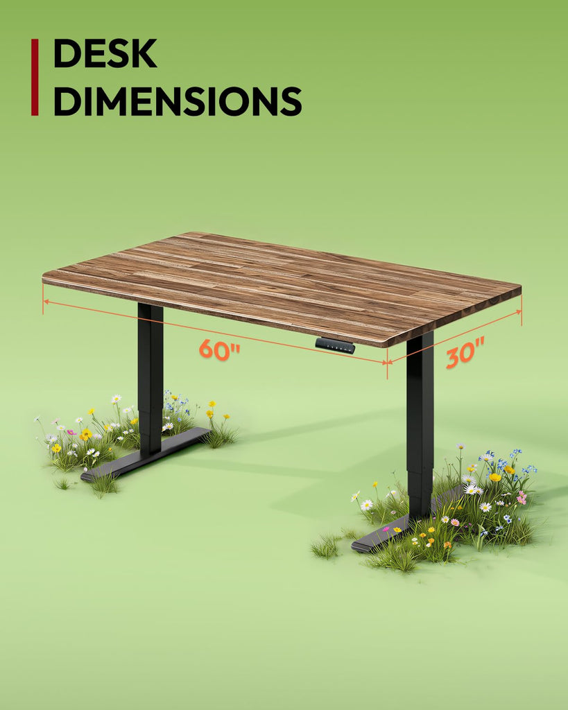 Solid Wood Dual Motor Standing Desk-60"x30"-Walnut/Black