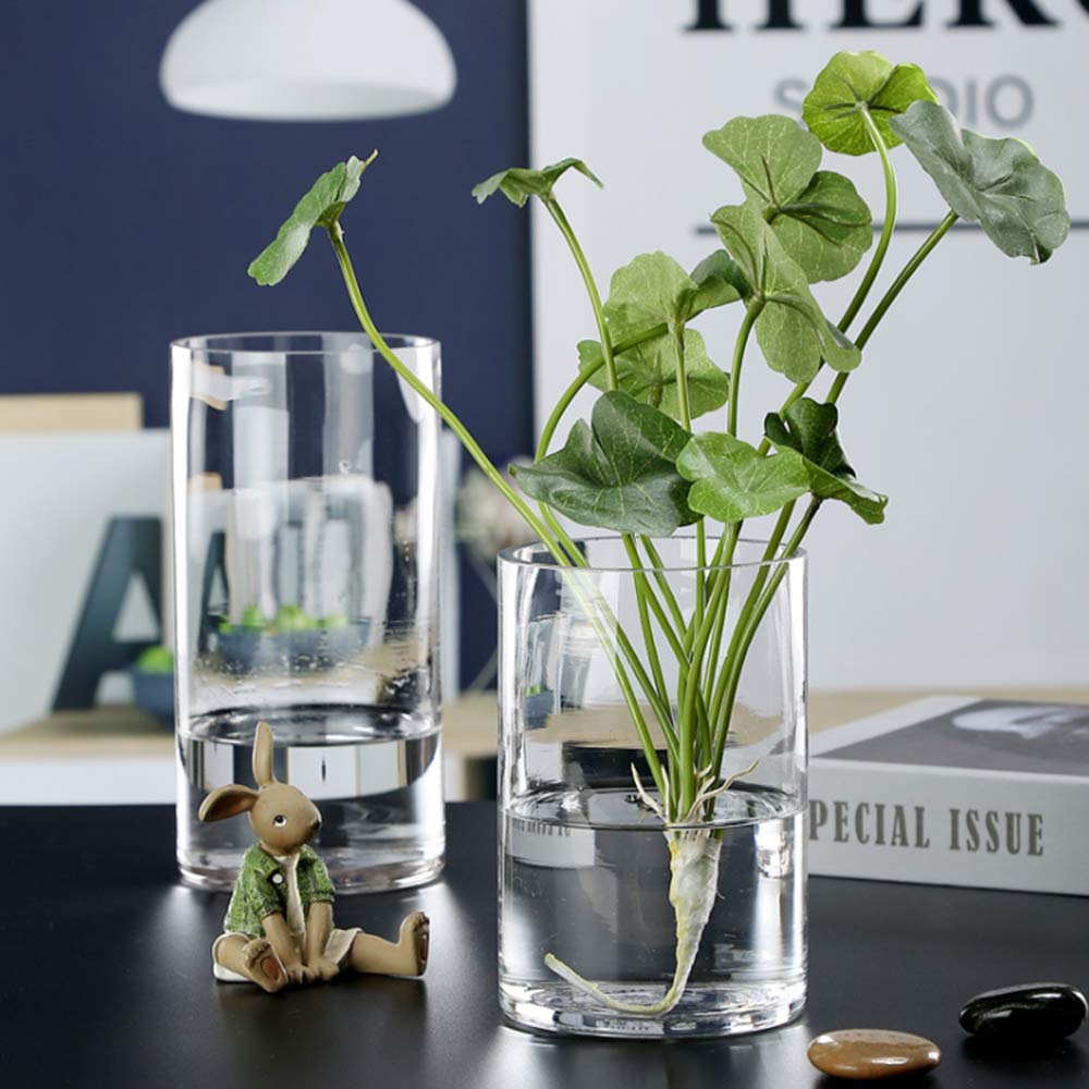 Quality Thick Clear Cylinder Glass Vases, 3" W x 8" H, Bud Vase Skinny Narrow Floral Bouquet Flower Container for