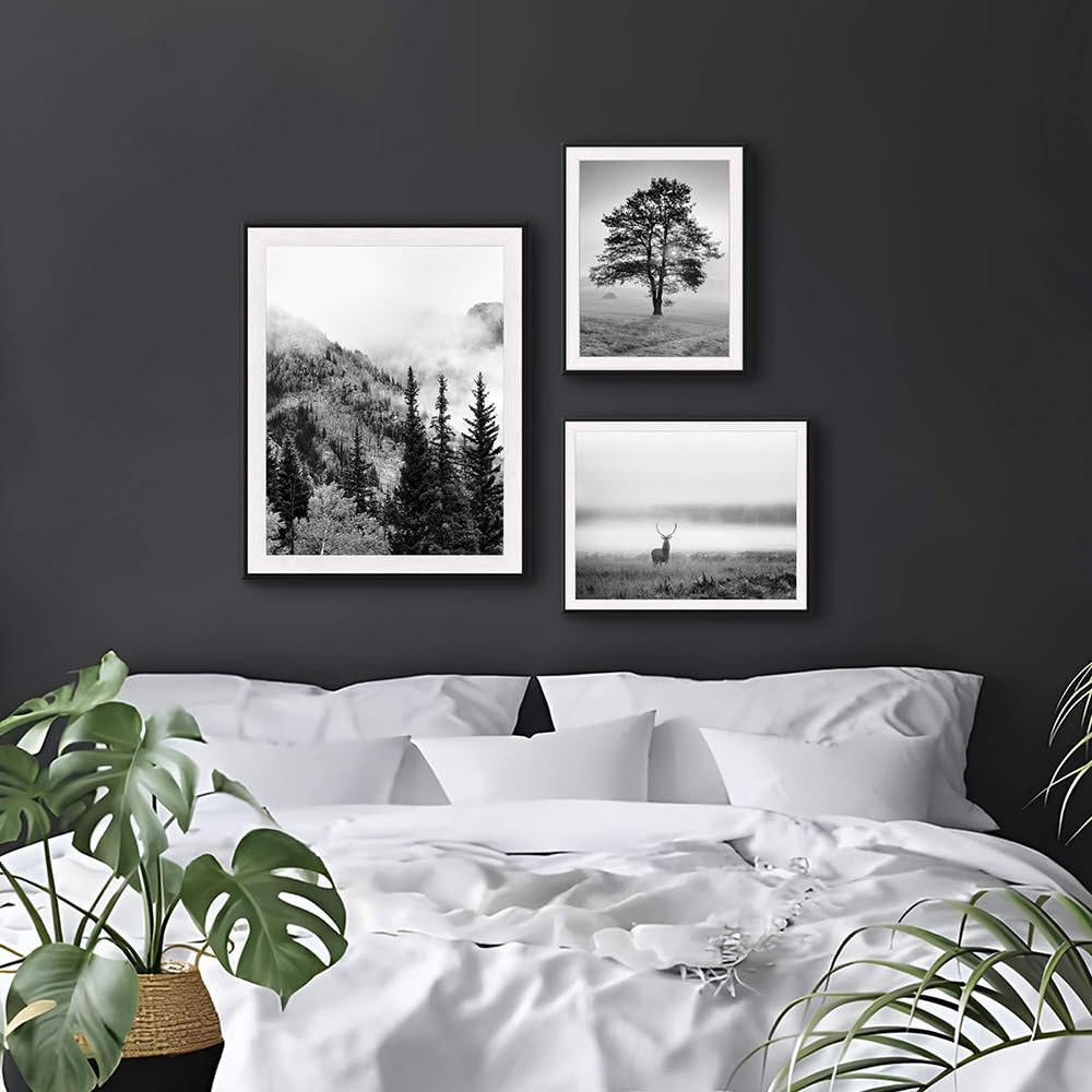 3 PCS Black White Natural Misty Mountain Gallery Framed Wall Art