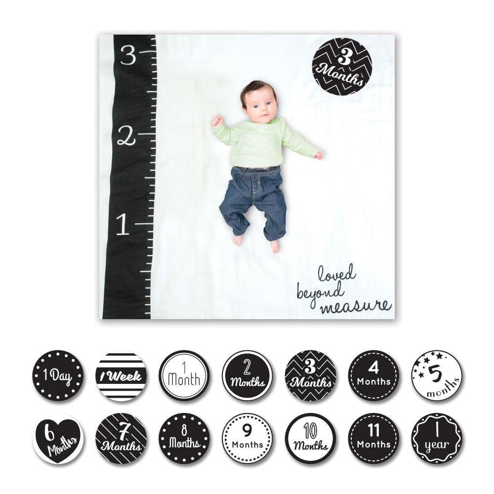 Baby Baby's First Year Milestone Blanket and Cards Set, Loved Beyond Measure