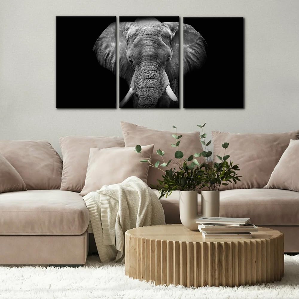 3 Pieces Wall Art Elephant Canvas Wall Decor Black and White Animal Pictures Painting Prints Modern Framed Artwork