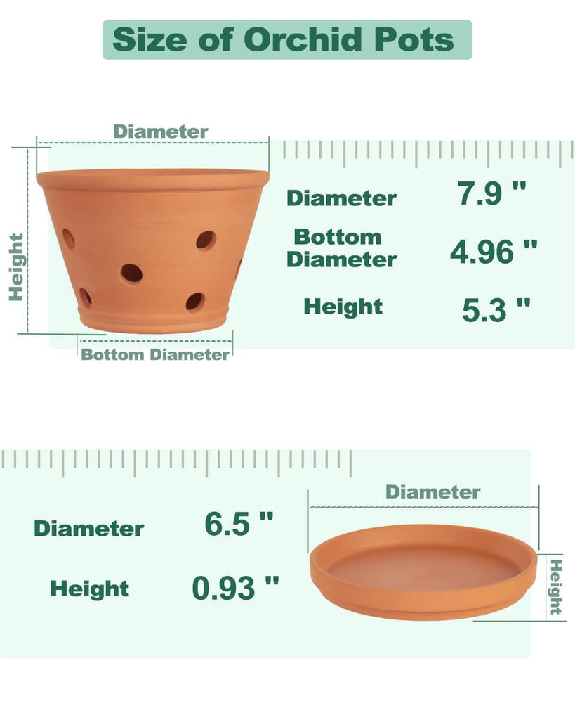 8 Inch Terracotta Orchid Pots with Holes and Saucers - 2 Pack Clay Orchid Planter Pots for Repotting, Breathable