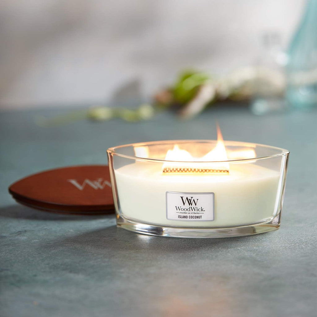 Ellipse Scented Candle with Crackling Wick, Island Coconut, Up to 50 Hours Burn Time Wood, White