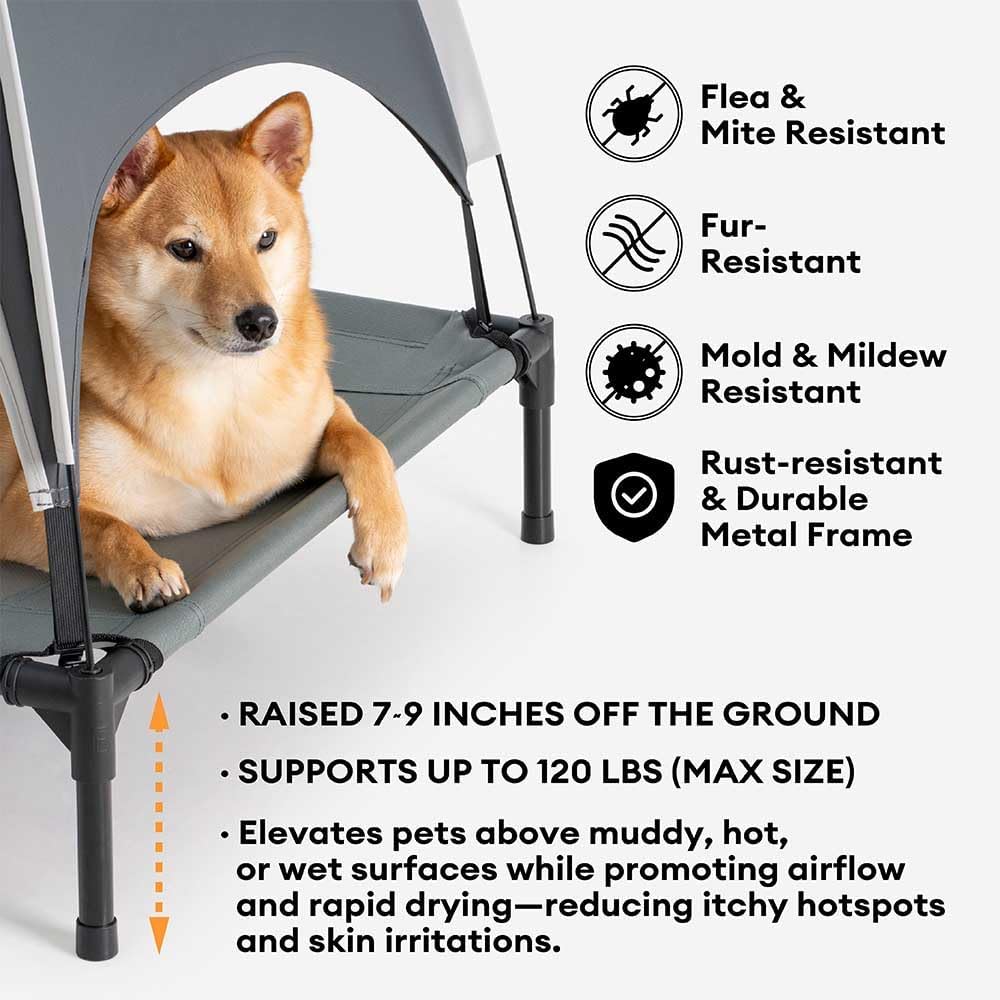 Elevated Cooling Dog Bed with Canopy(30"x24"x7") - Dog Cot Bed for Small, Medium Dogs with UV Shade, Breathable Mesh
