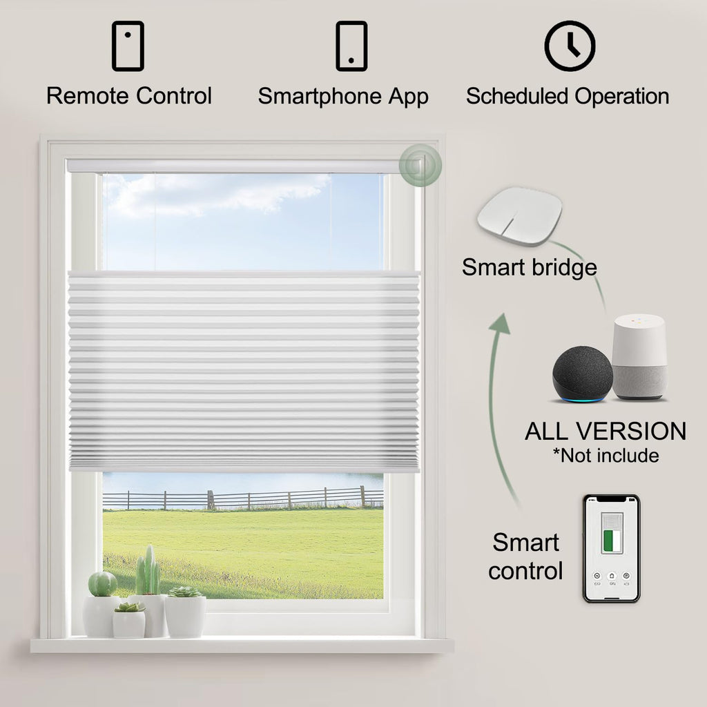 Motorized TDBU Cellular Shades (Light Filtering 93022A)