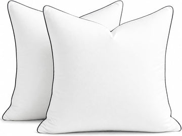 20x20 Pillow Inserts, Fluffy Overfilled Down Alternative Decorative Pillows, Soft Plush Throw Pillows - Set of 2