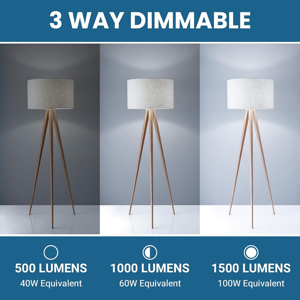 3 Way Light Bulbs 40 60 100W Equivalent Daylight White 5000K, 2 Pack