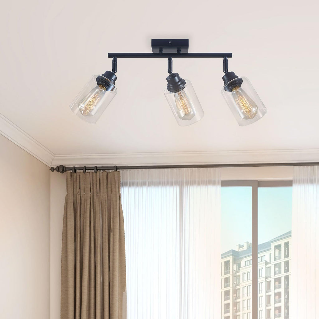 Matte Black Track Lighting Ceiling Mount
