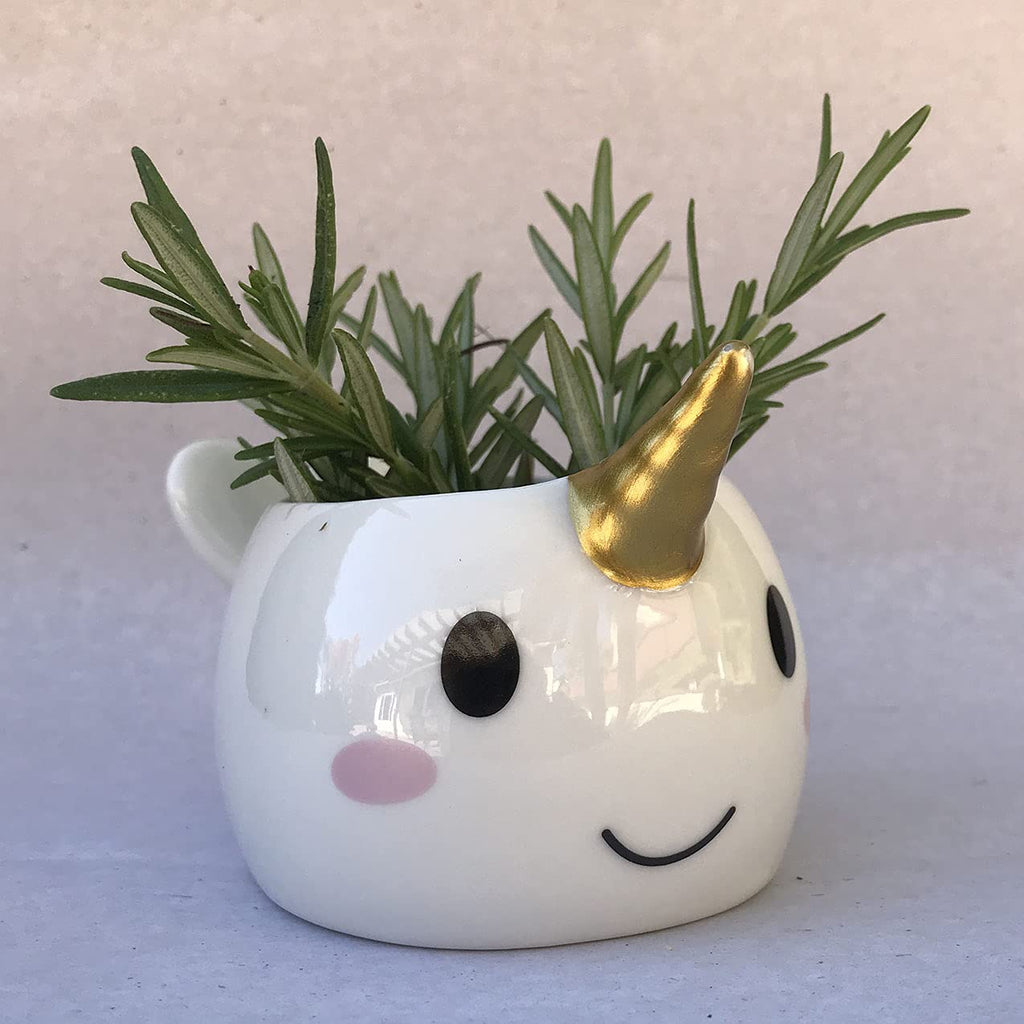Planter for Succulent Plant Ceramic Plant Pots Indoor, Novelty Planters Garden (Wale w Gold Horn, 2)