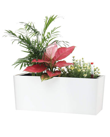14" Self Watering Planter Pots with Water Level Indicator, Rectangle Matte Plastic Window Box for Indoor Outdoor