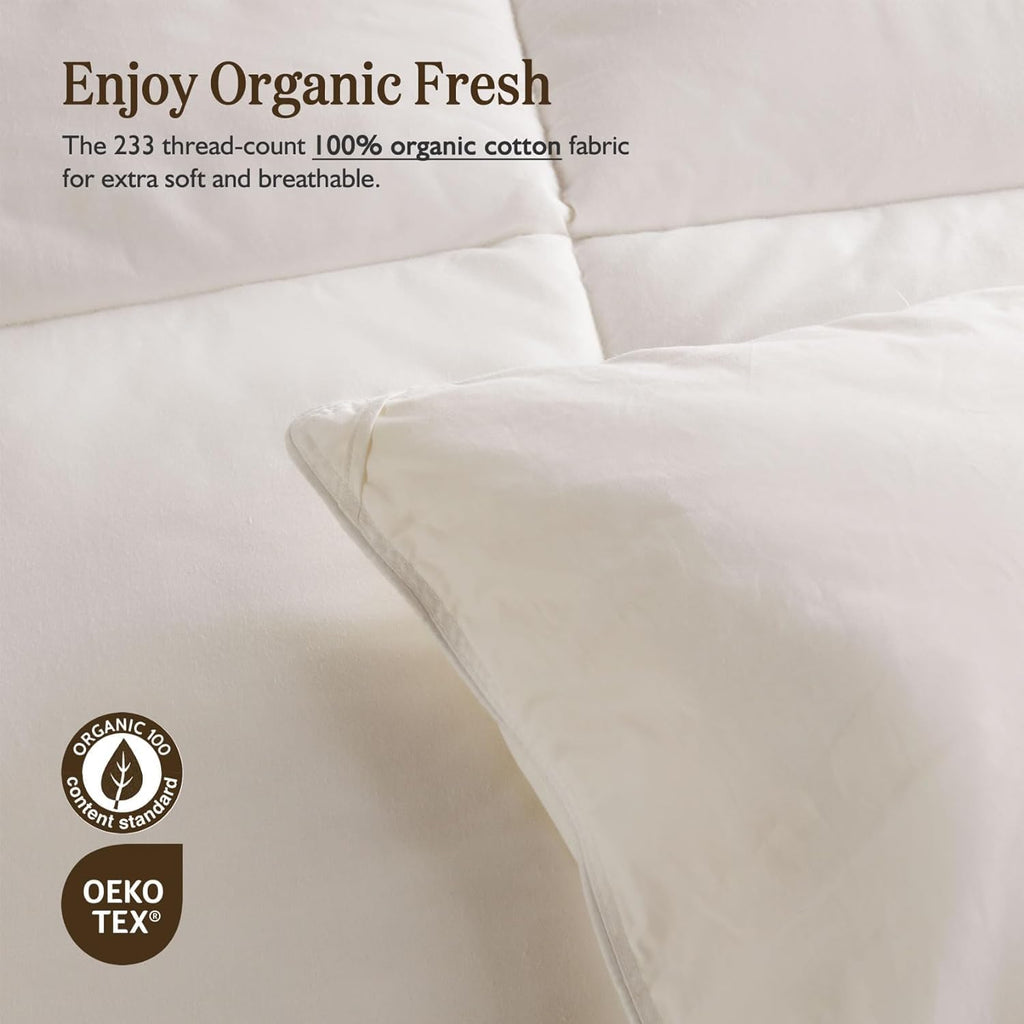Feather Down Comforter Queen, Hotel-Luxury Fluffy Duvet Insert with Organic Cotton Cover and Puffy F