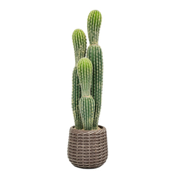 2.5ft Artificial Cactus Plants Outdoor, Tall Fake Cacti Plant in Brown Pot, Faux Floor Plant Hotel Indoor Patio