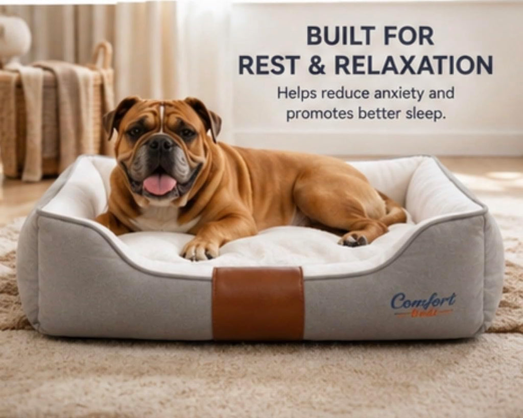 Luxury Orthopedic Dog Bed, x-Large, Canvas Exterior with Leather Accent, Plush Interior, Machine Washable, Waterproof