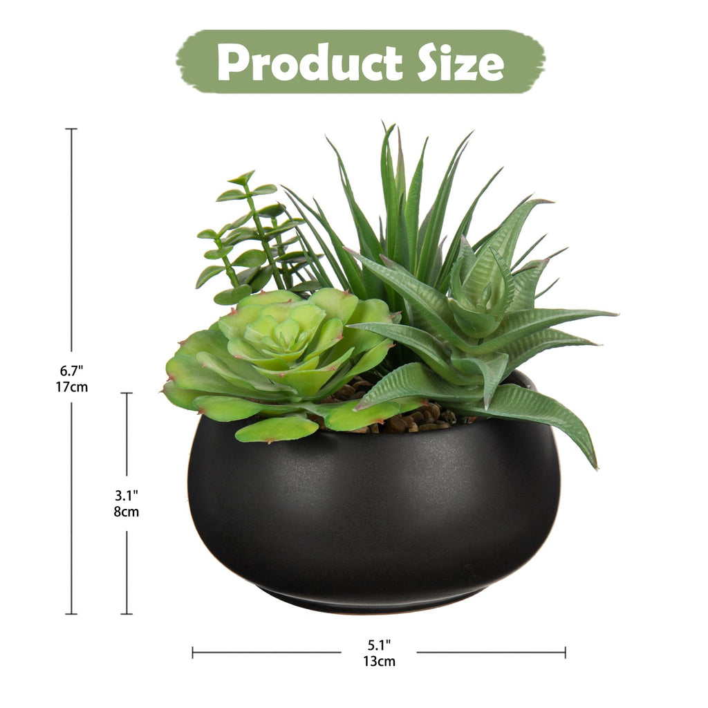 Fake Plants Artificial Succulents in Pots Faux Succulent Arrangement Potted Plant with Black Ceramic Pot Decor Modern