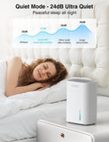 Small Dehumidifier for Home, 30oz Compact Mini Dehumidifier with Auto Shut-Off, Quiet 24dB Portable Air Dehumidifier