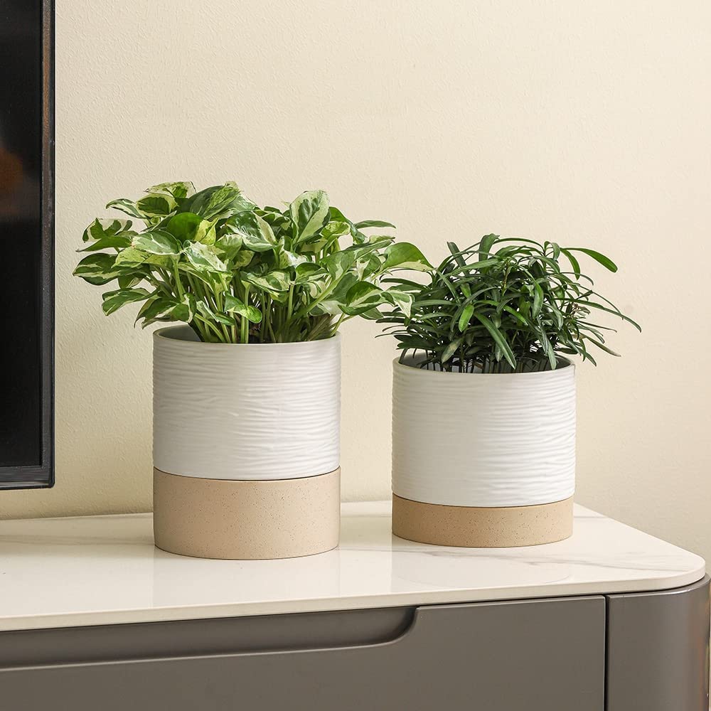 Ceramic Self Watering Plant Pot for Indoor Plants, 6 Inch, White