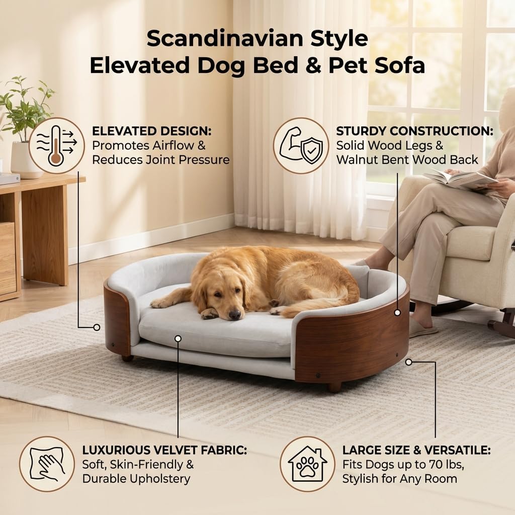 Scandinavian Style Elevated Dog Bed, Pet Sofa with Solid Wood Legs and Walnut Bent Wood Back, Velvet Upholstered