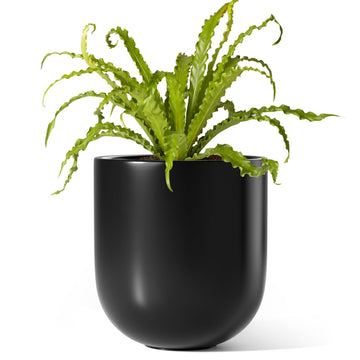 6 Inch Ceramic Plant Pot, Small Indoor Planter, Black