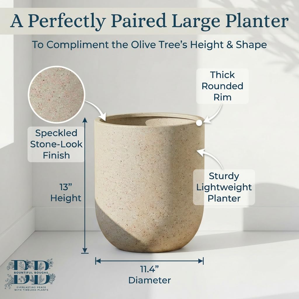 5FT Artificial Matte Olive Tree with Large Planter & Light
