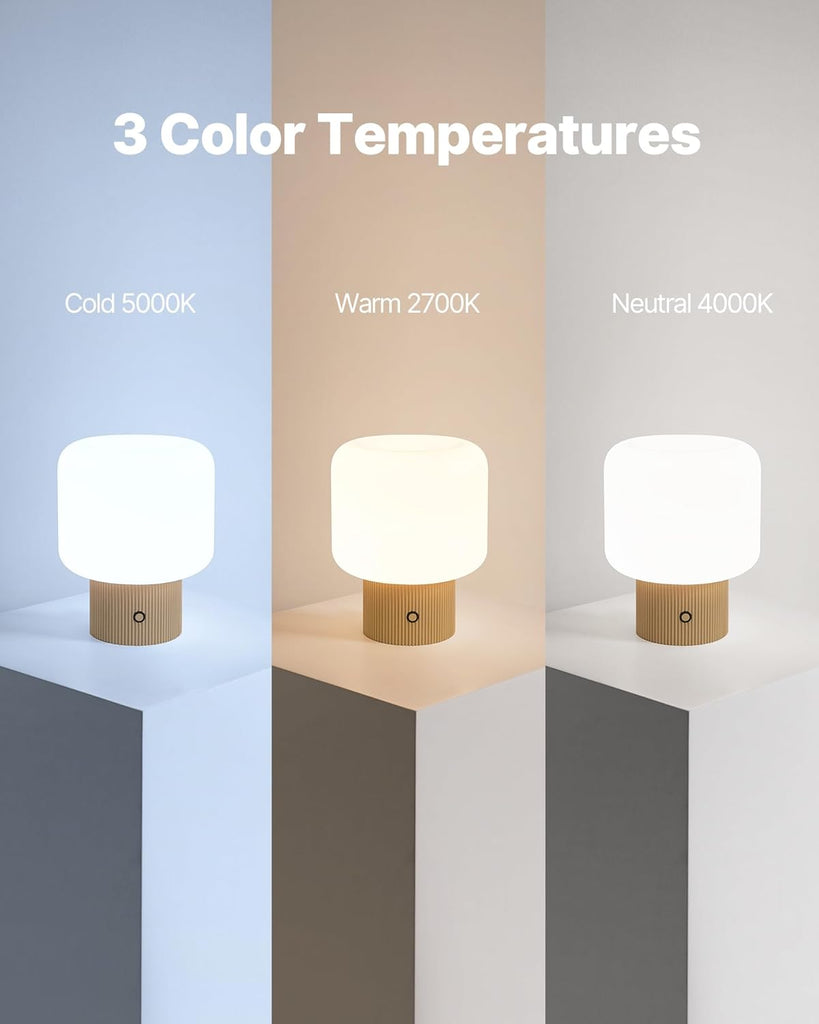 Mushroom Lamp, 5W Cute Cordless Rechargeable Table Lamp with Glass Shade, 3 Color Temps LED Dimmable Ambient Lighting