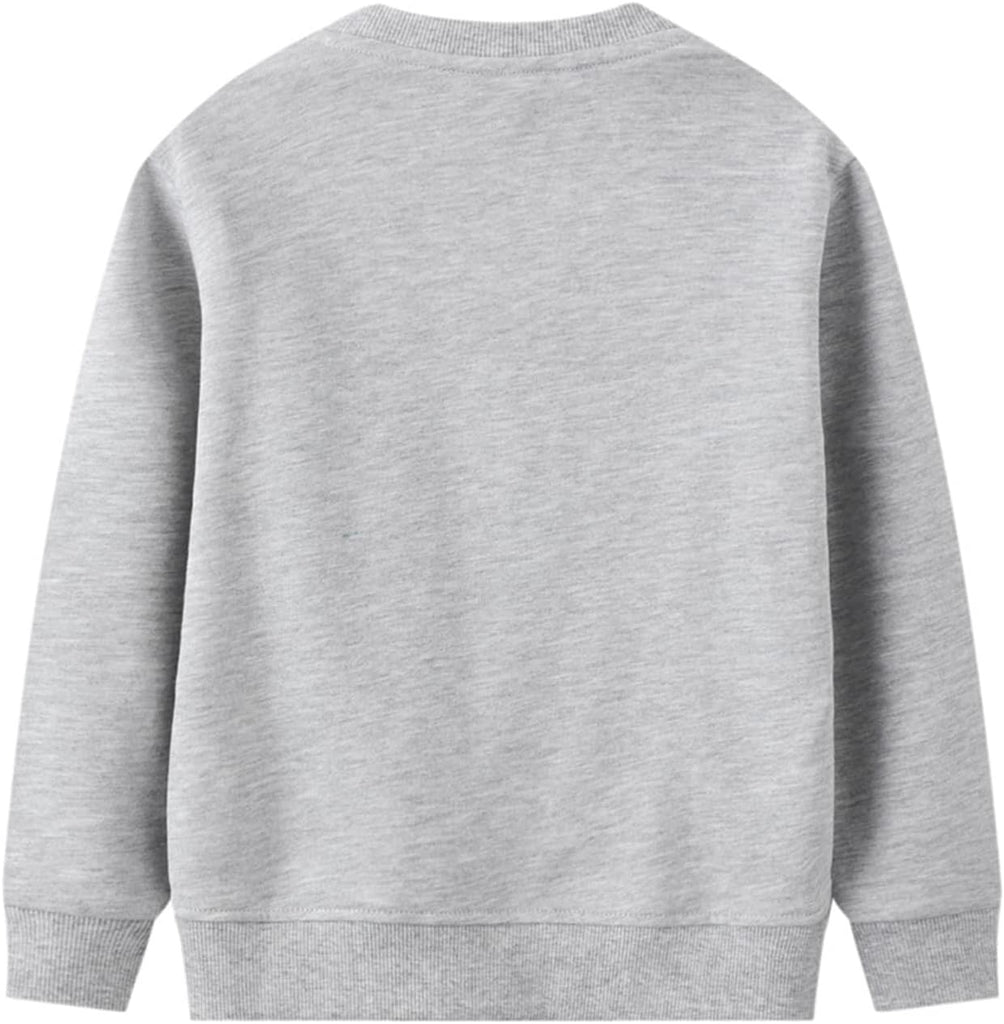 Toddler Boys Graphic Crewneck Sweatshirts Pack
