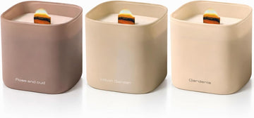 Premium Scented Soy Candles Gift Set | Nature's Bloom Collection - Gardenia, Hilton Garden and Rose & Oud - Set of 3