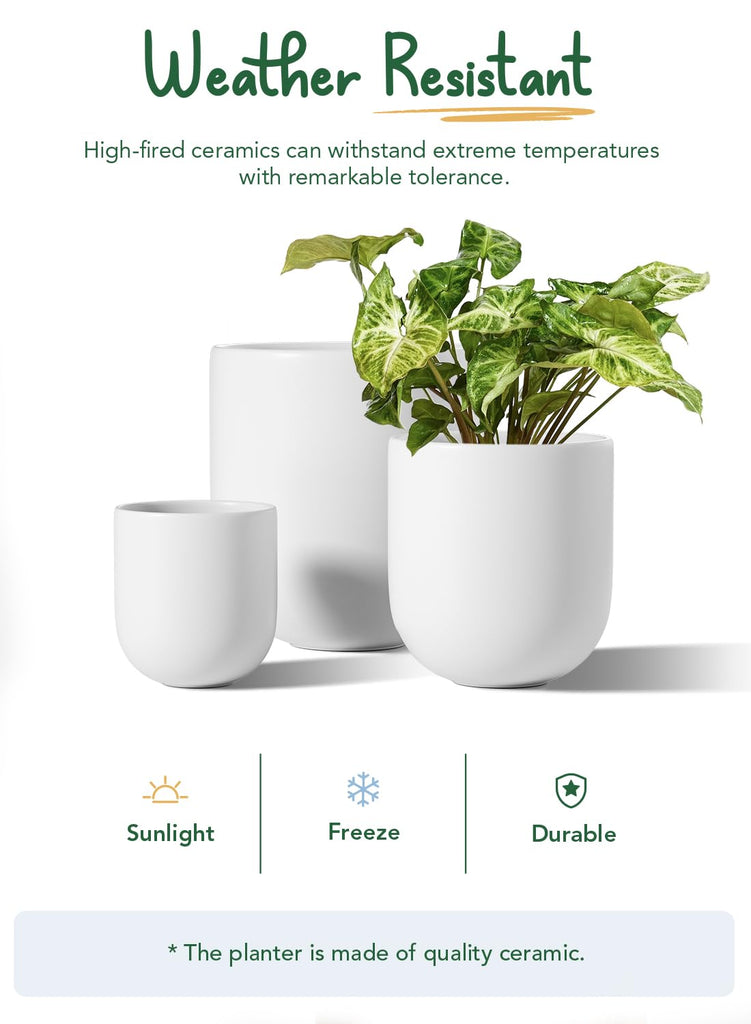 6, 8 & 10 Inch Ceramic Planter Set for Indoor Plants, White