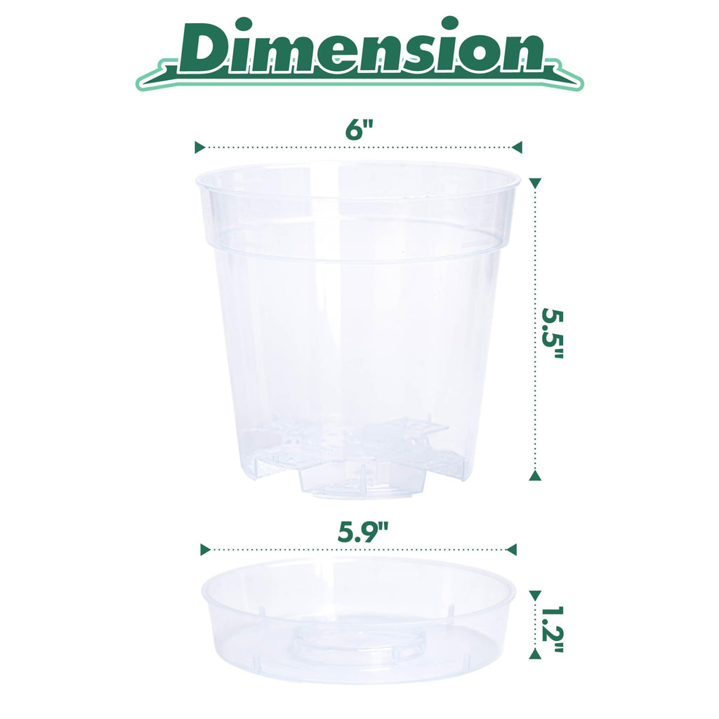 6 Inch Clear Plastic Plant Pot with Drainage Holes, Interlocking & Detachable Tray - Deep Saucer - Durable BPA-Free