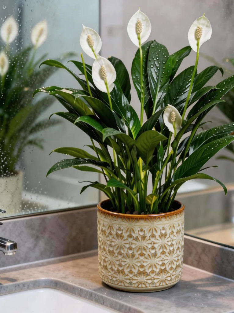Ceramic Planter Ceramic Plant Pot, 5.3 Inch Small Planter with Unique Glaze, Home Decor Indoor Outdoor Flower Pot for