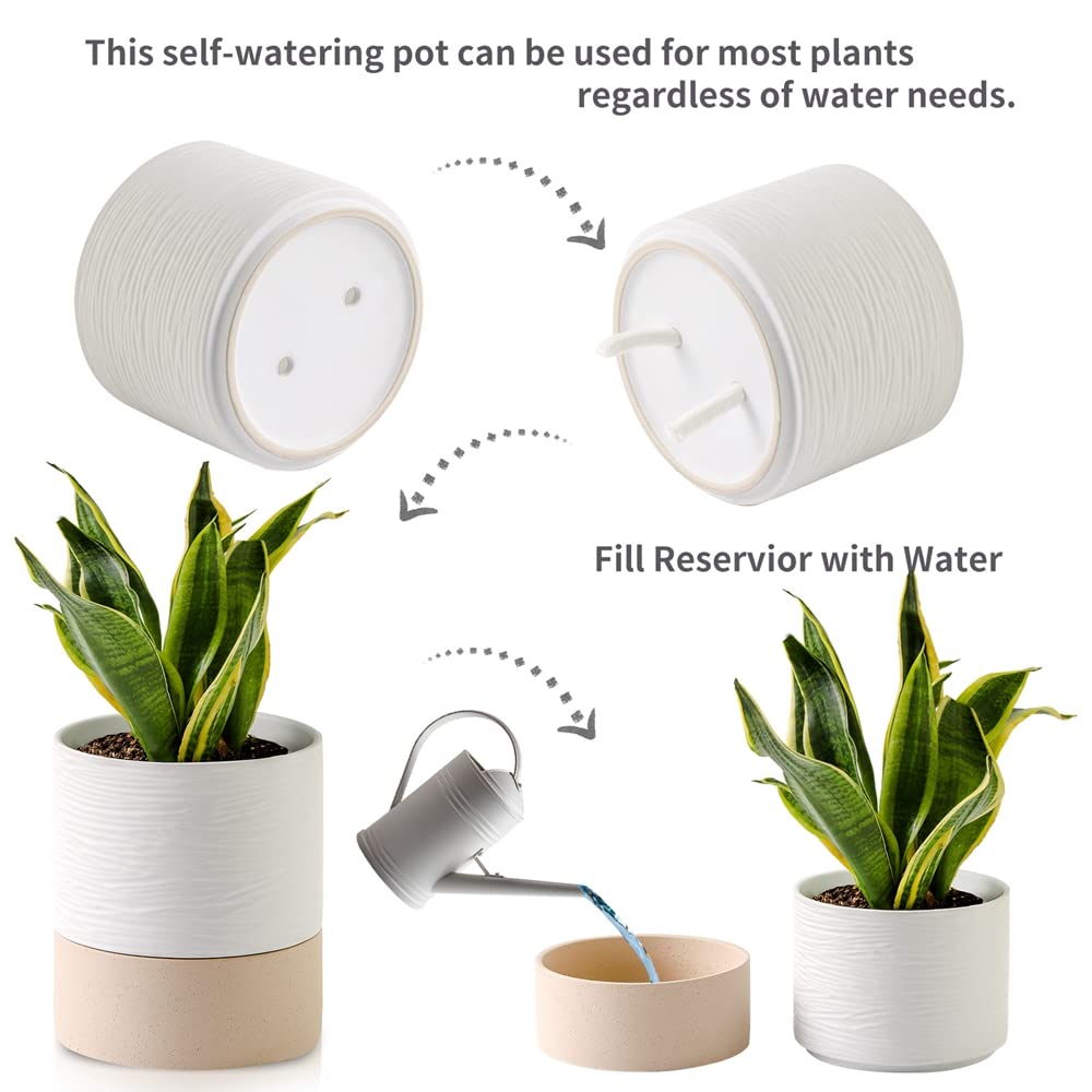 Ceramic Self Watering Plant Pot for Indoor Plants, 6 Inch, White