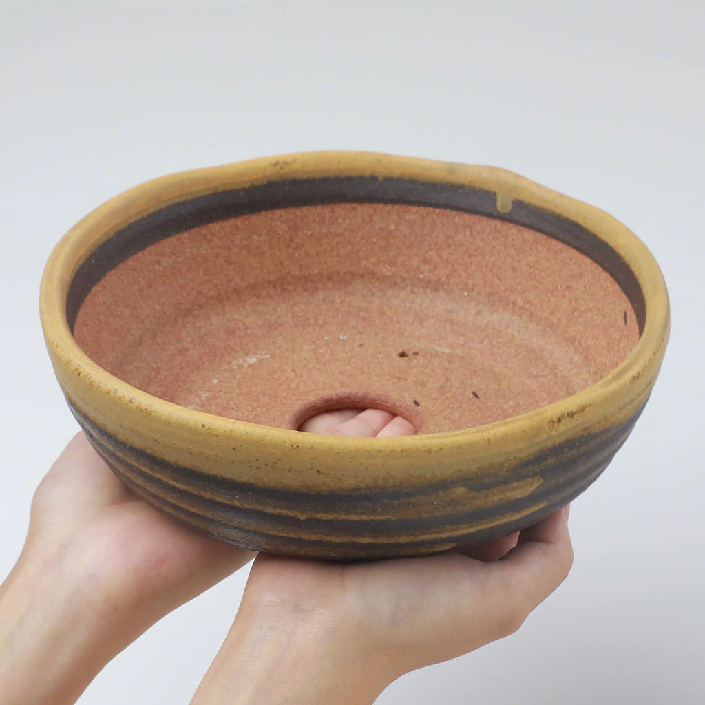 Shigaraki Series Yellow Dust Stripe Glazed Ceramic Bonsai Pot
