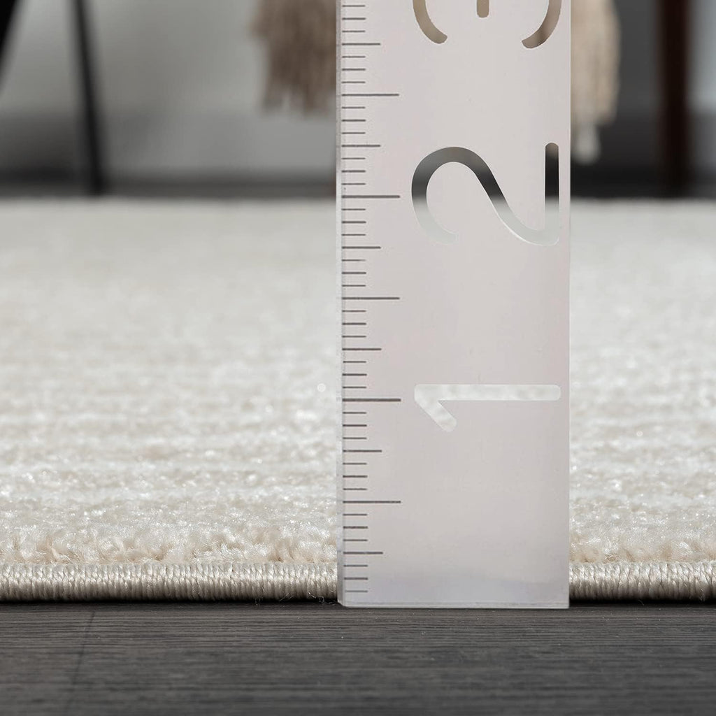 Area Rug