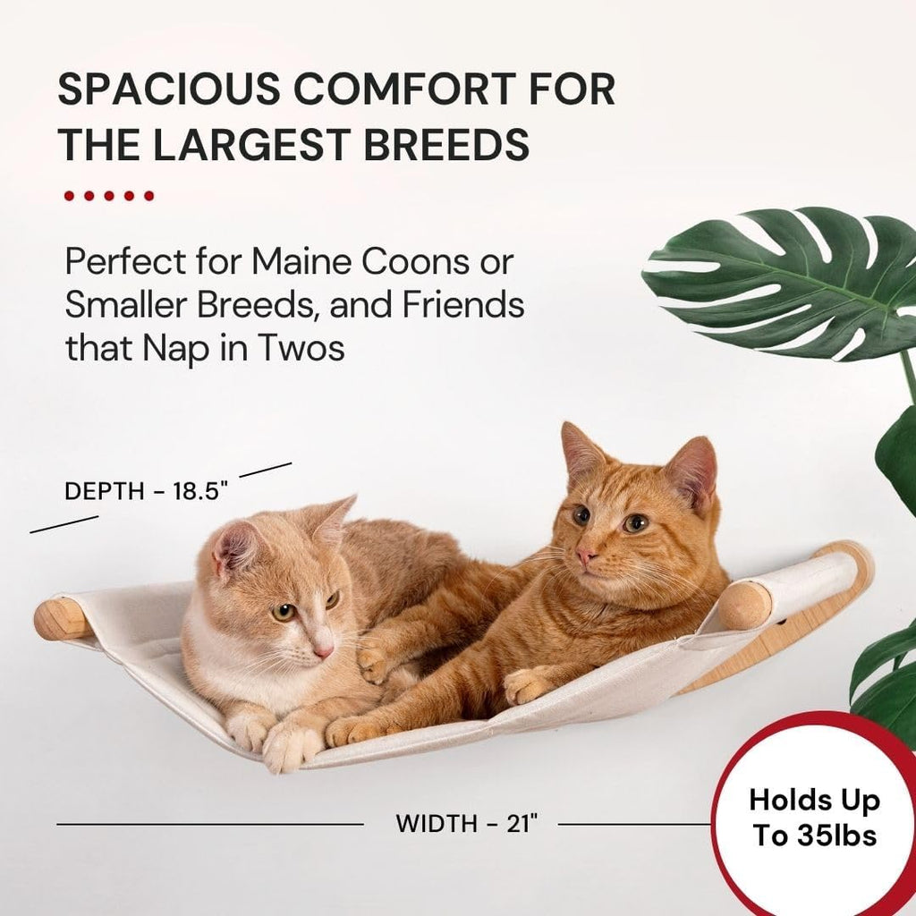 Cat Wall Hammock for Large Cats, Cat Wall Bed