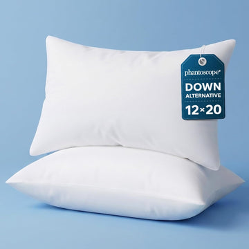 Throw Pillow Inserts Decorative Throw Pillows 12x20 Inch 2 Pack - Set of 2