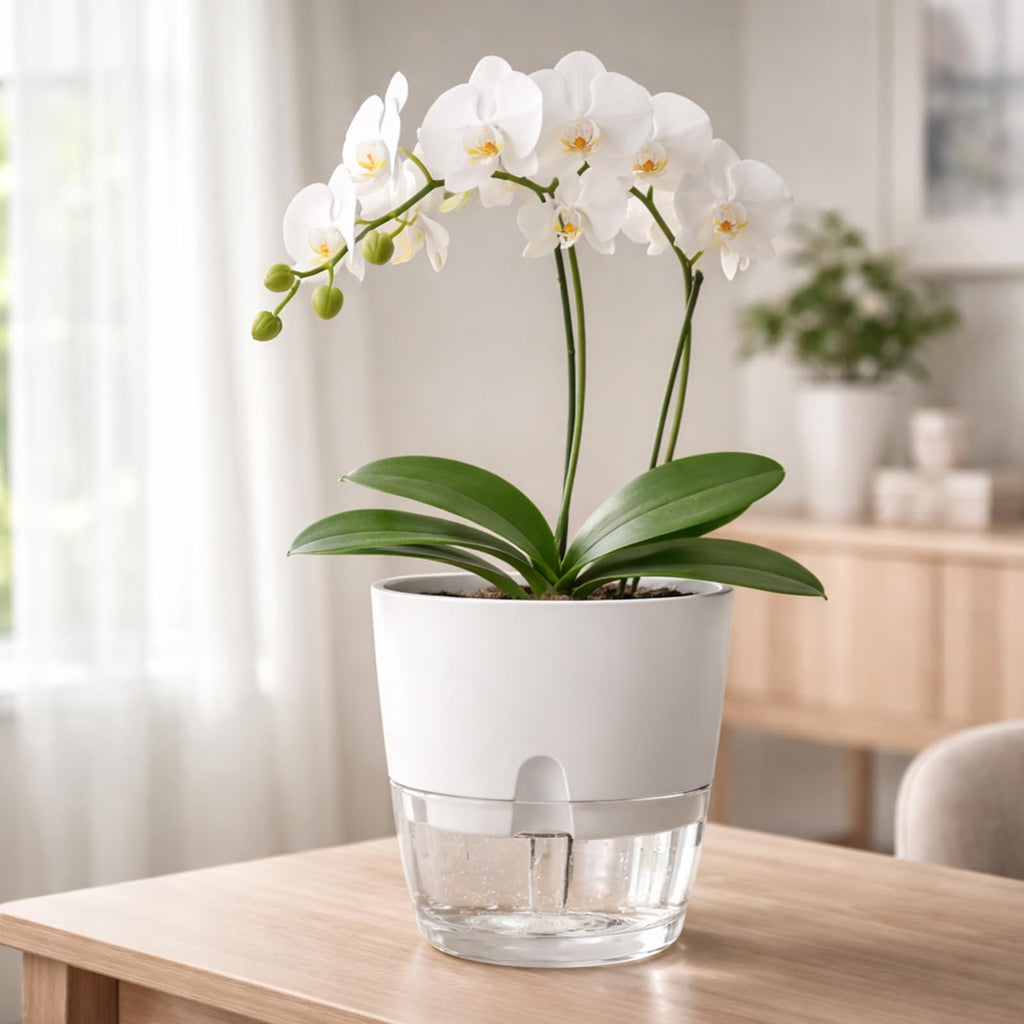 5 Pack Self Watering Pots for Indoor Plants, 9.2 Inch Plant Pot Plastic Self Watering Planter for Orchid, Monstera