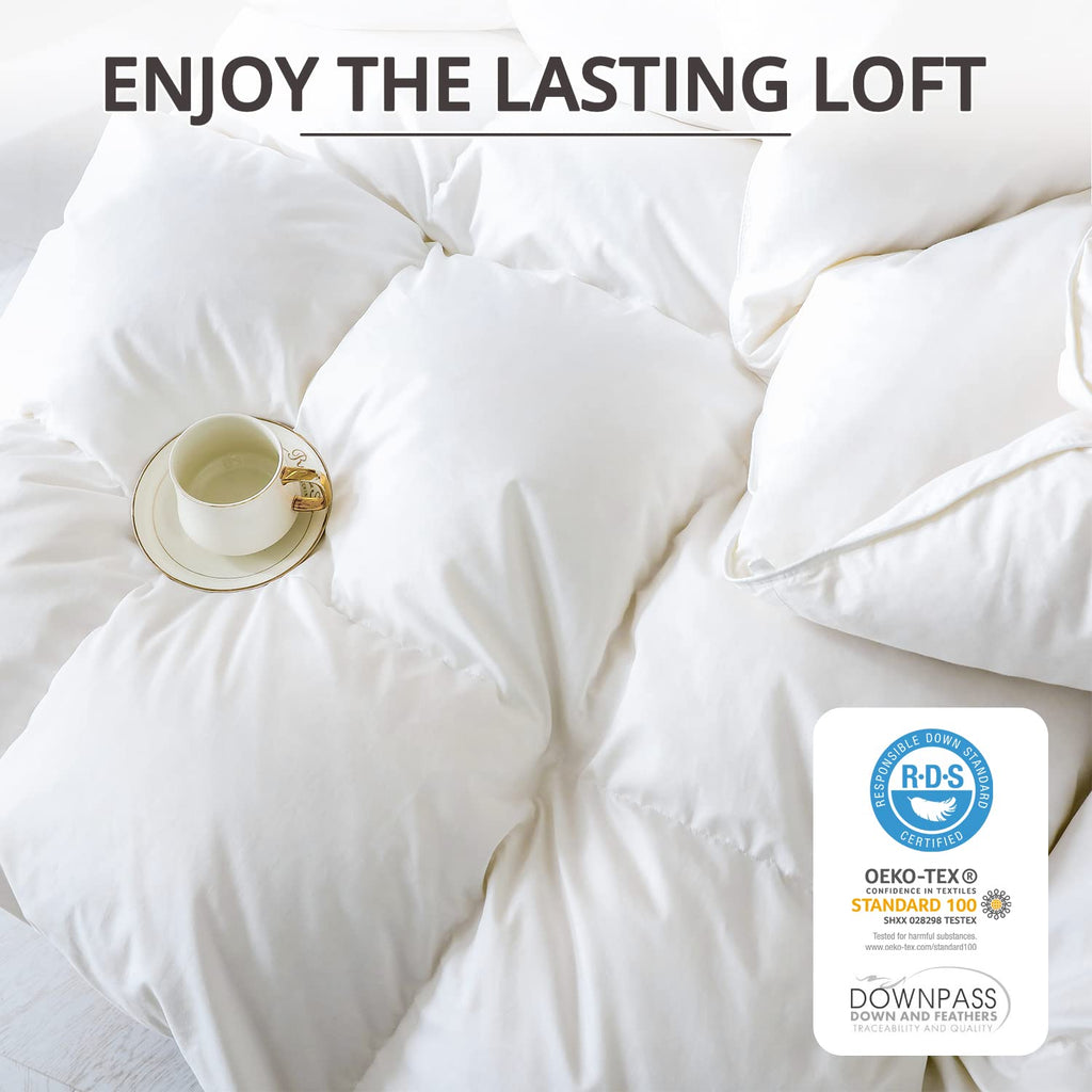 Winter Down Comforter Queen Size, Heavyweight Duvet Insert for Clod Sleepers, Noiseless Soft Shell, with 8 Corner Tabs