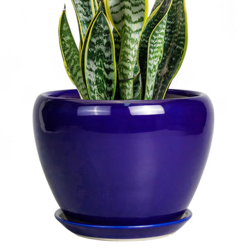 Ceramic Plant Pot 8 Inch, Planter for Indoor Plants, Royal Blue